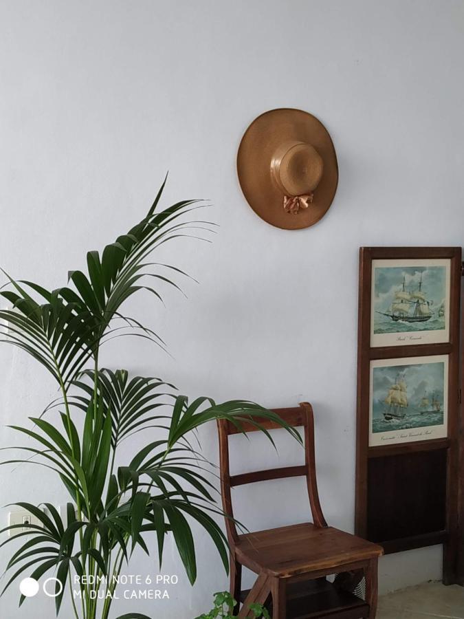 Appartement Atlantico à Puerto de la Cruz  Extérieur photo